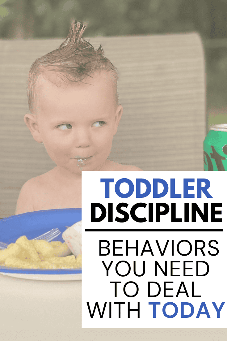 A list of Toddler Behaviors that aren't going away unless you teach your child how to obey. Identifying behaviors and making a plan! #toddler #toddlerdiscipline #baby